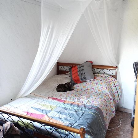 Apartamento Maison Vue Mer La Saline Les Hauts Exterior foto